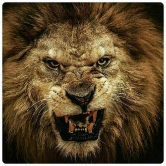 12235006_10201061240730476_2445309262899627009_n